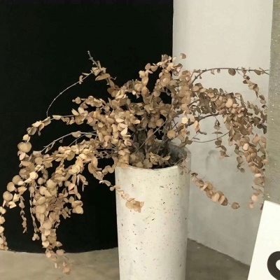 兽设比例设计入门兽圈社群